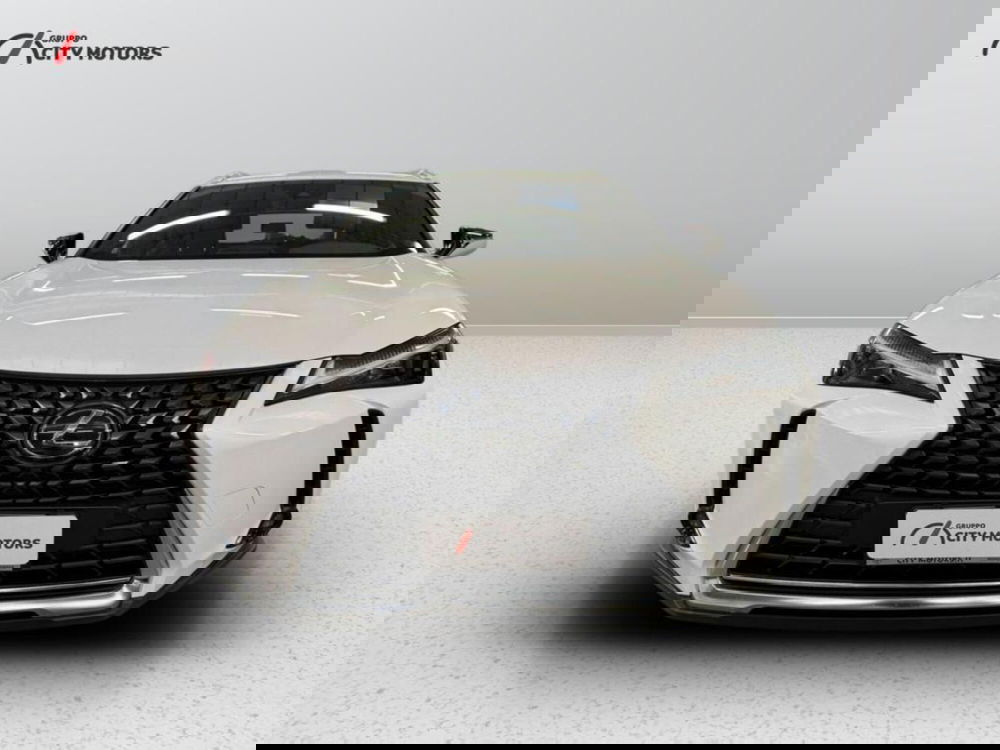 Lexus UX usata a Monza e Brianza (2)