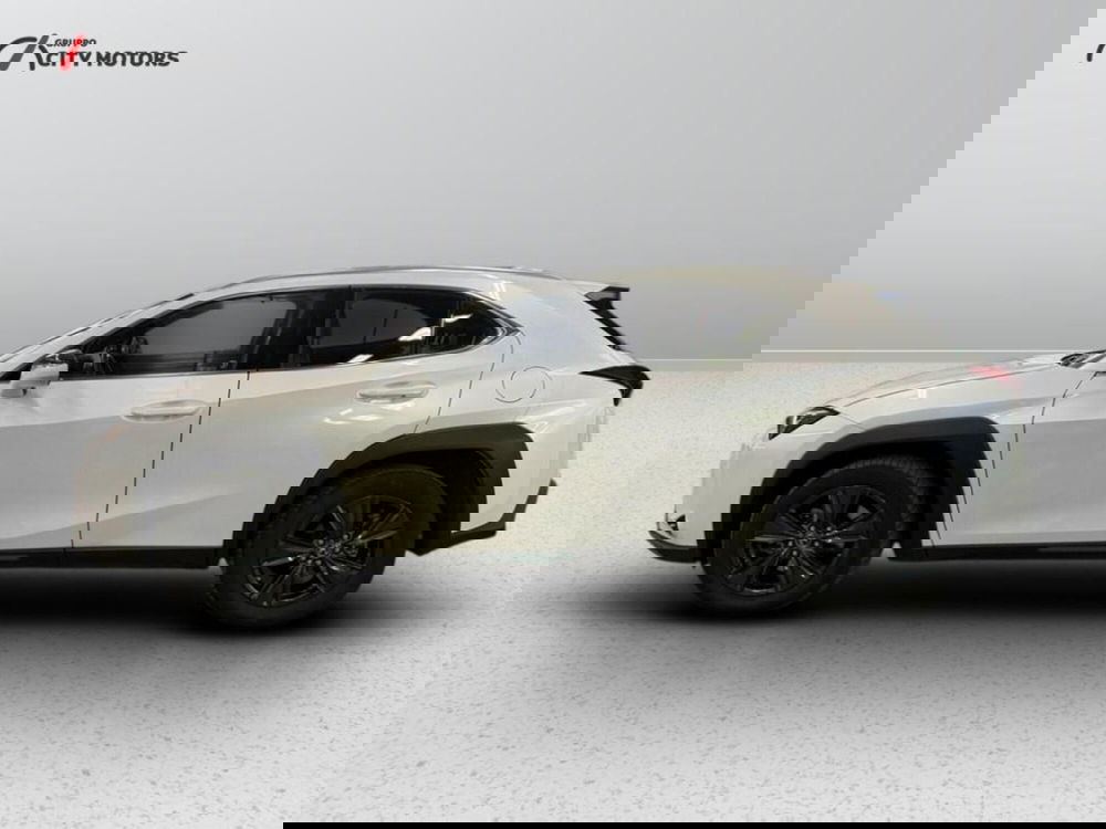 Lexus UX usata a Monza e Brianza (3)