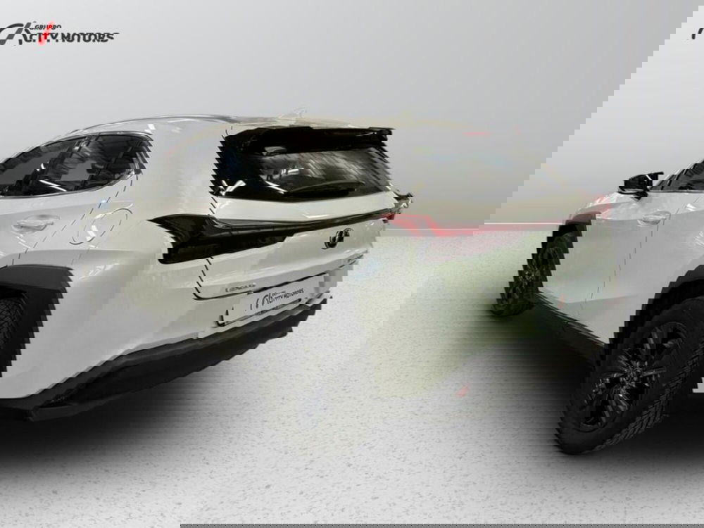 Lexus UX usata a Monza e Brianza (4)