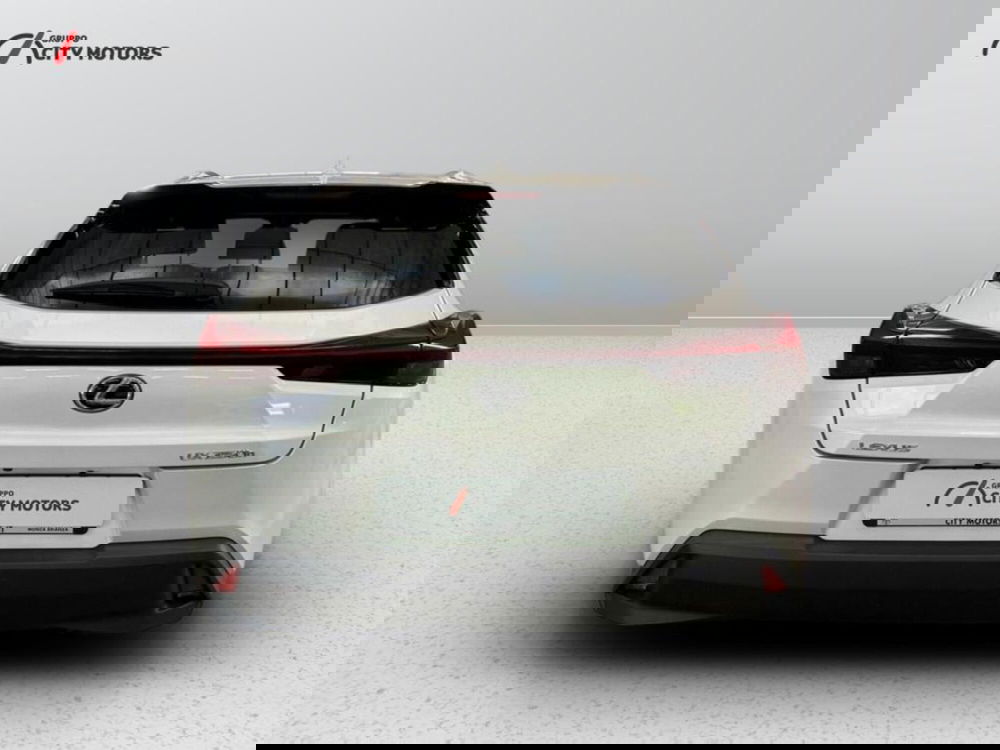 Lexus UX usata a Monza e Brianza (5)