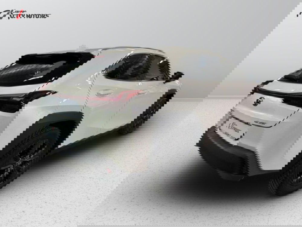 Lexus UX usata a Monza e Brianza (6)