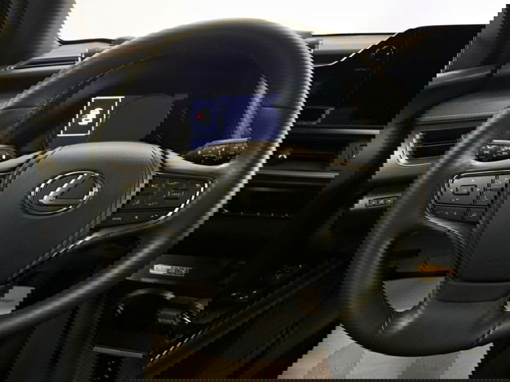 Lexus UX usata a Monza e Brianza (7)