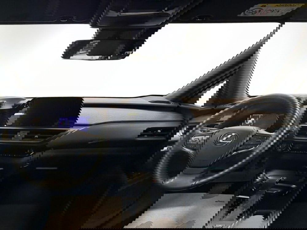 Lexus UX usata a Monza e Brianza (8)