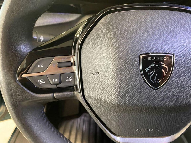 Peugeot 308 SW usata a Torino (12)