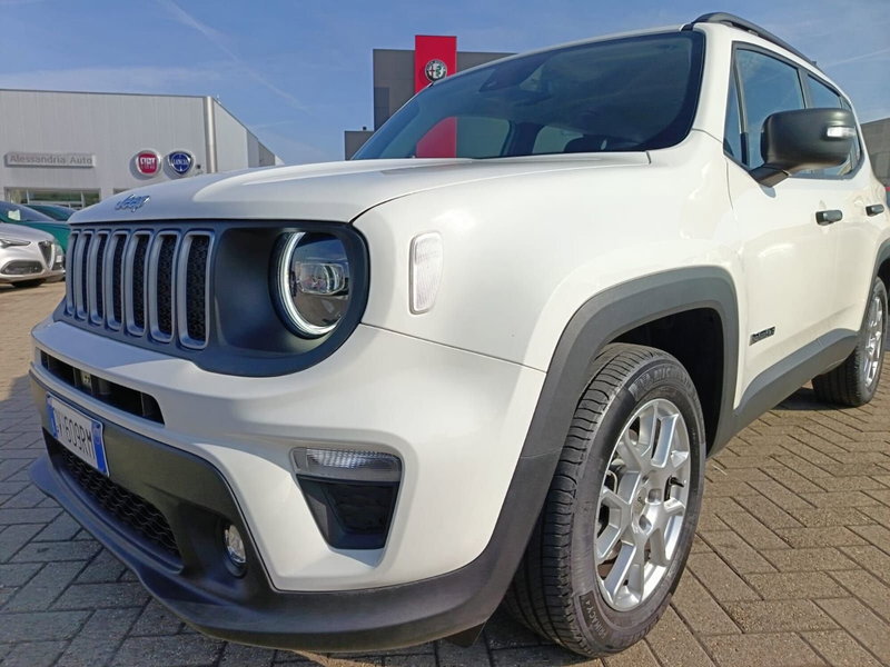 Jeep Renegade usata a Alessandria (11)