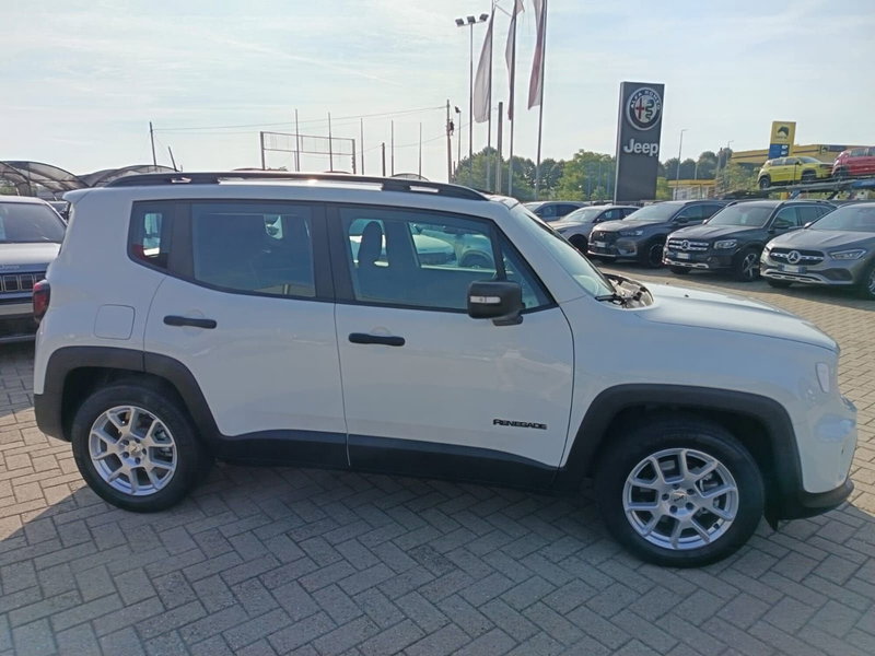 Jeep Renegade usata a Alessandria (4)