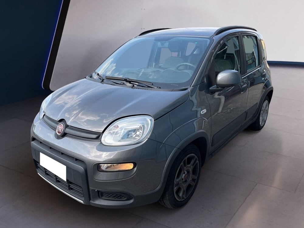 Fiat Panda usata a Torino (2)
