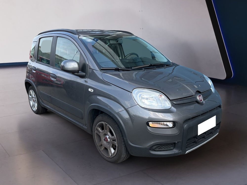 Fiat Panda usata a Torino (3)