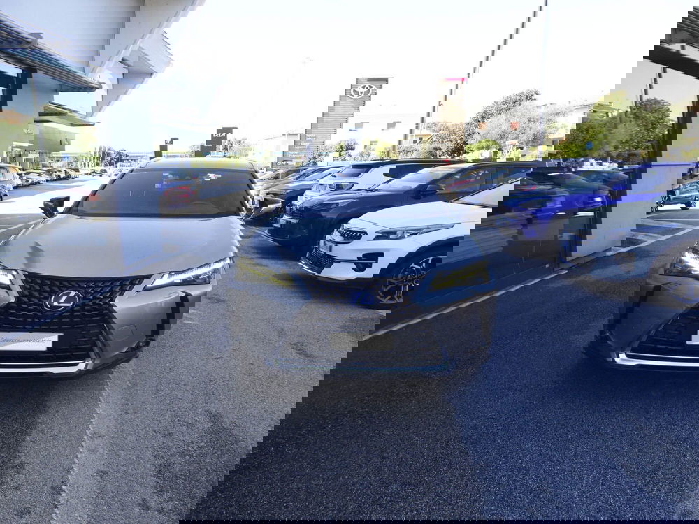 Lexus UX usata a Treviso (2)