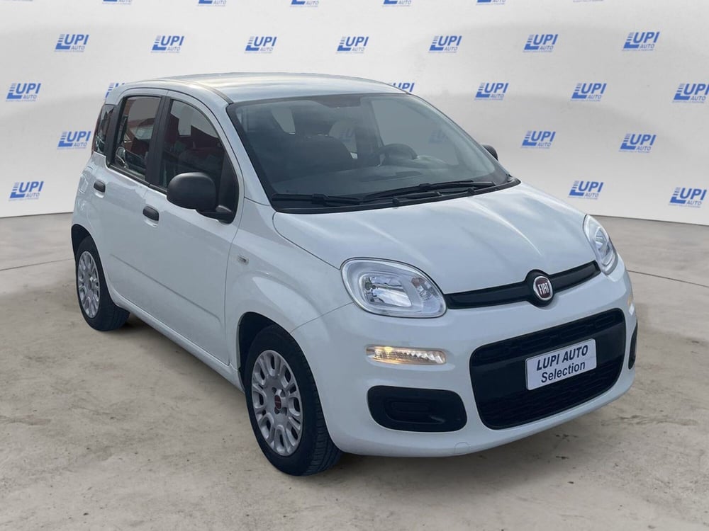 Fiat Panda usata a Pistoia (8)