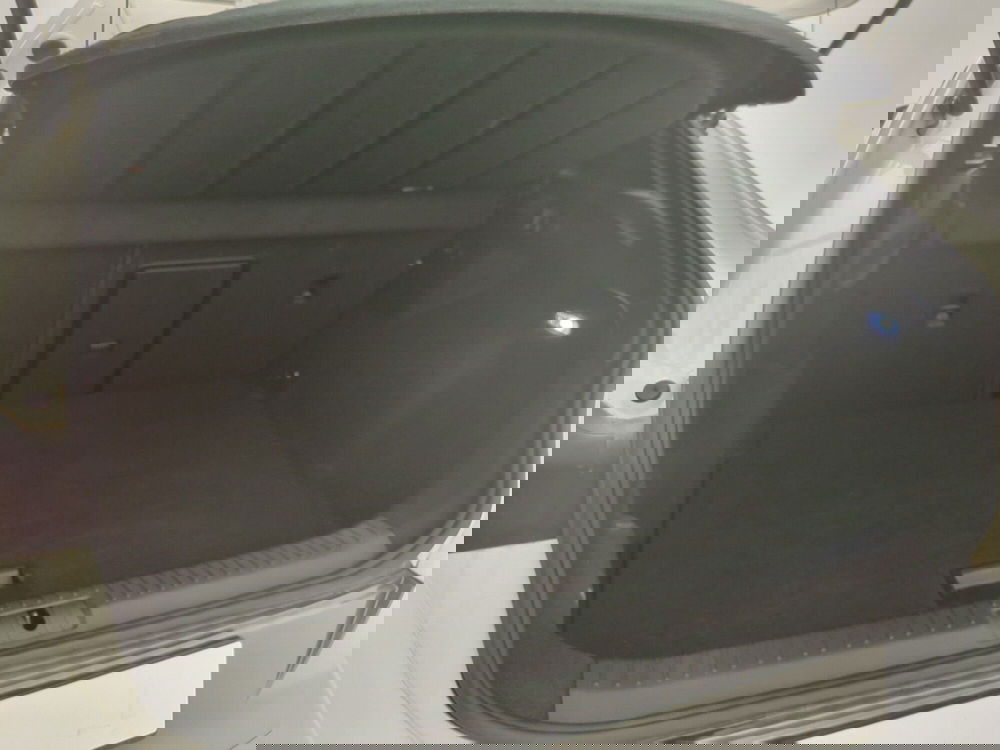 Cupra Formentor usata a Avellino (14)