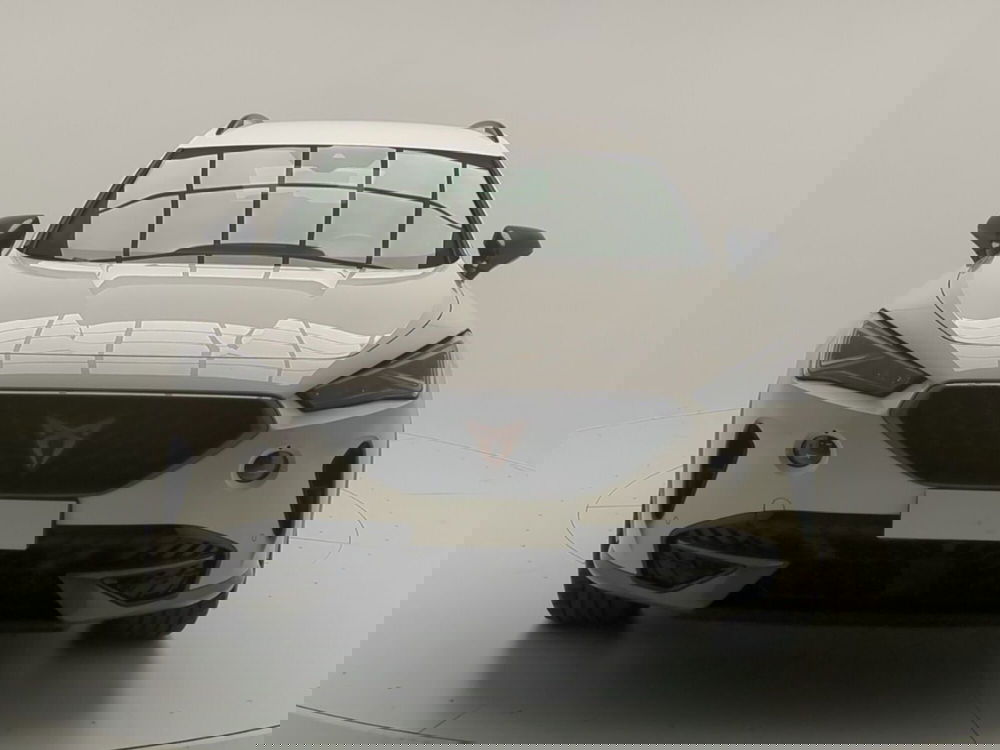 Cupra Formentor usata a Avellino (2)