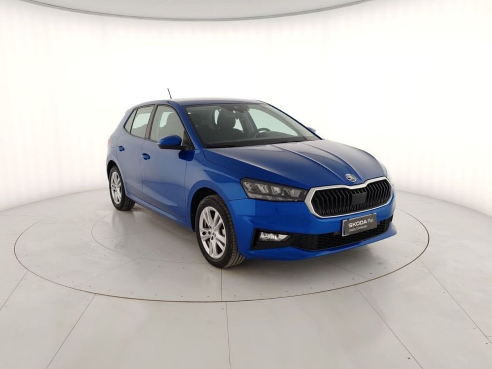 Skoda Fabia usata a Massa-Carrara (4)