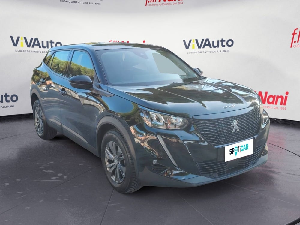Peugeot 2008 usata a Massa-Carrara (14)