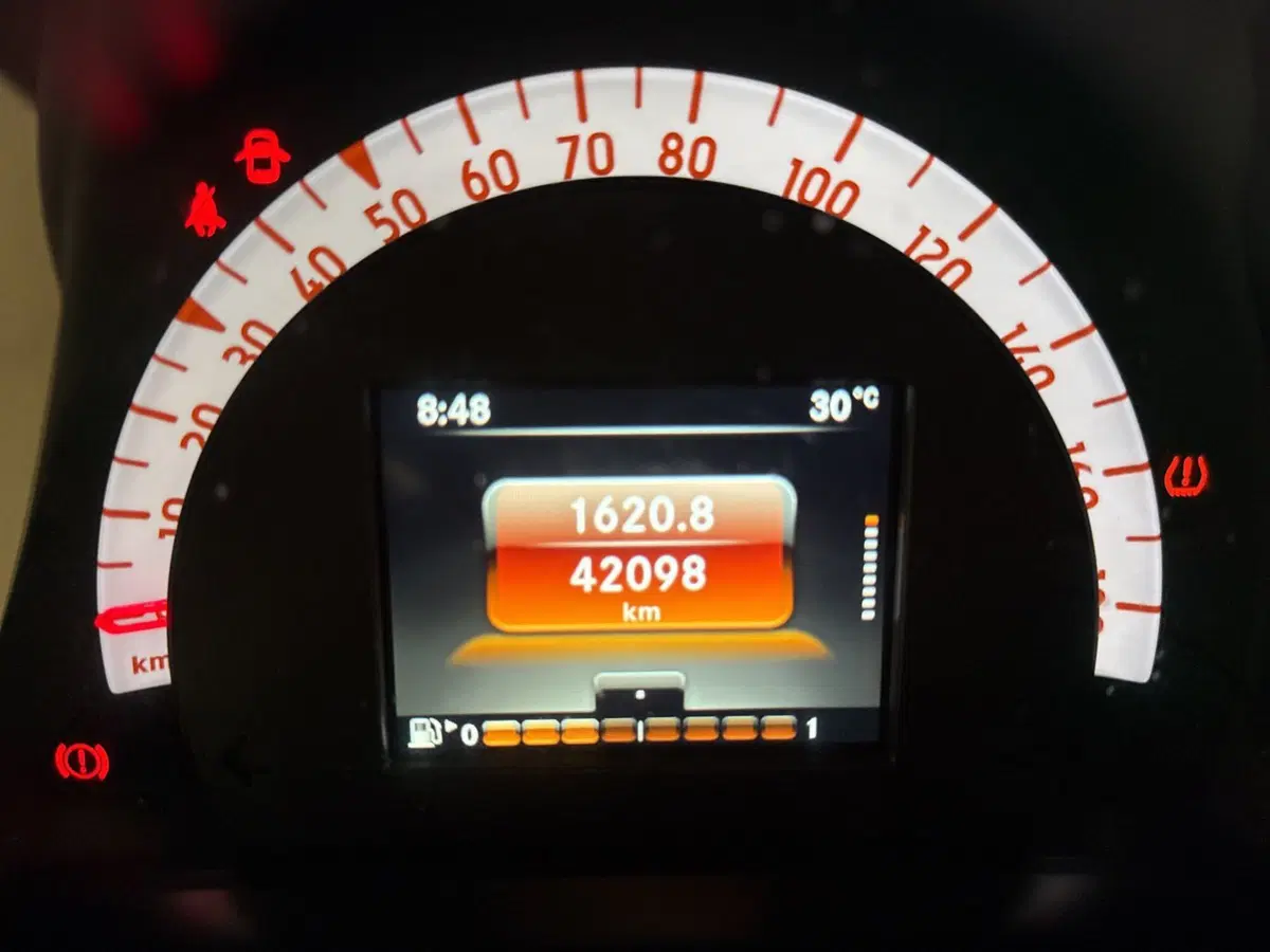 smart forfour usata a Palermo (11)