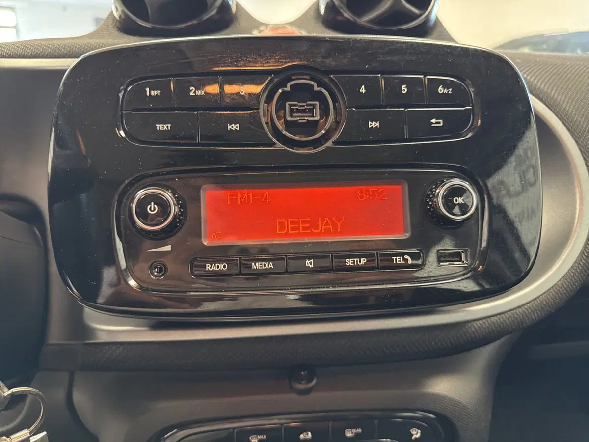 smart forfour usata a Palermo (9)