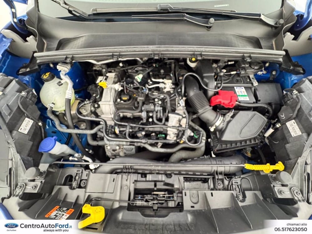 Ford Puma usata a Roma (12)