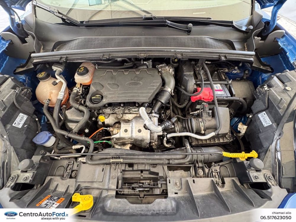 Ford Puma usata a Roma (13)