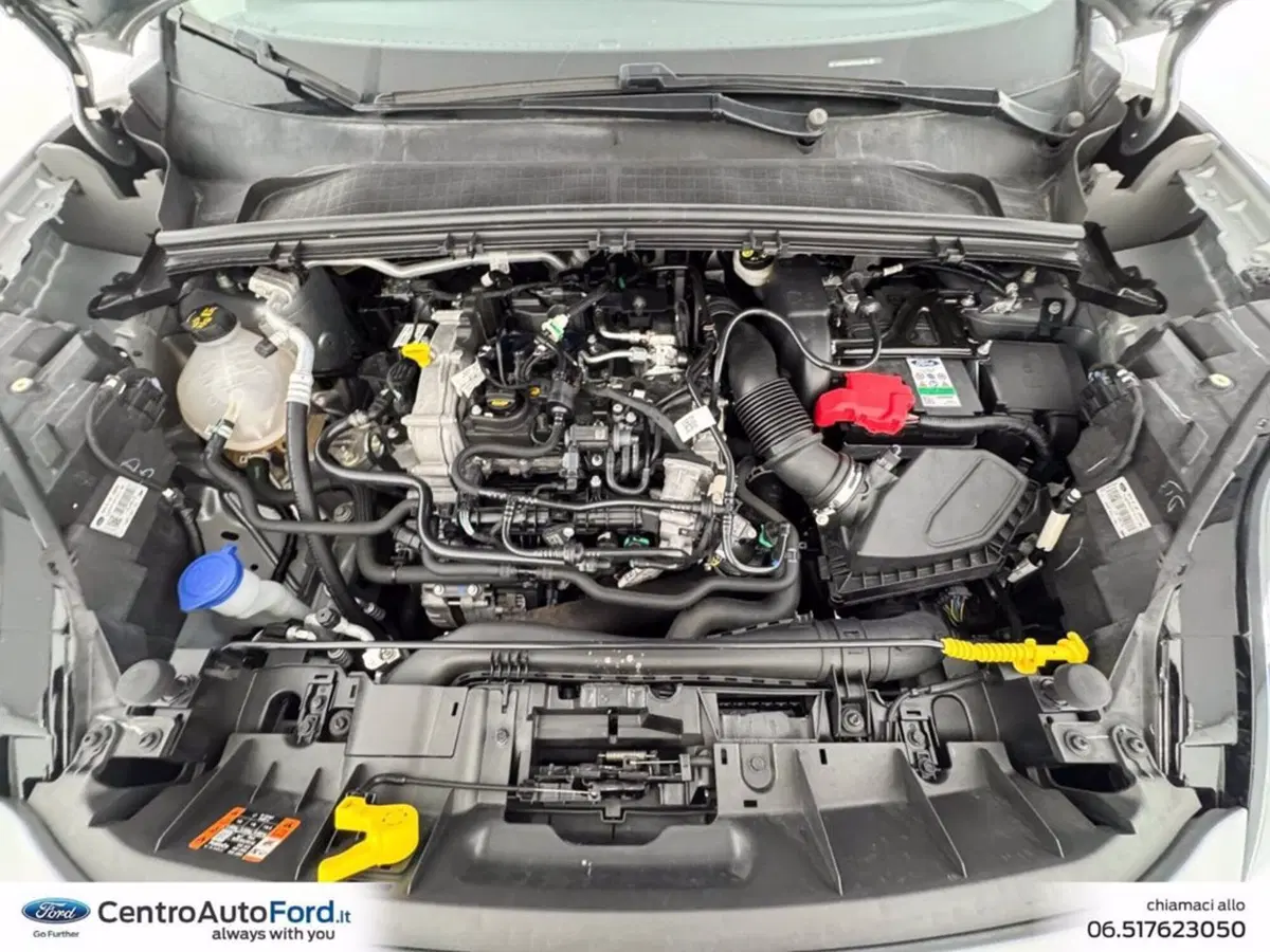 Ford Puma usata a Roma (12)