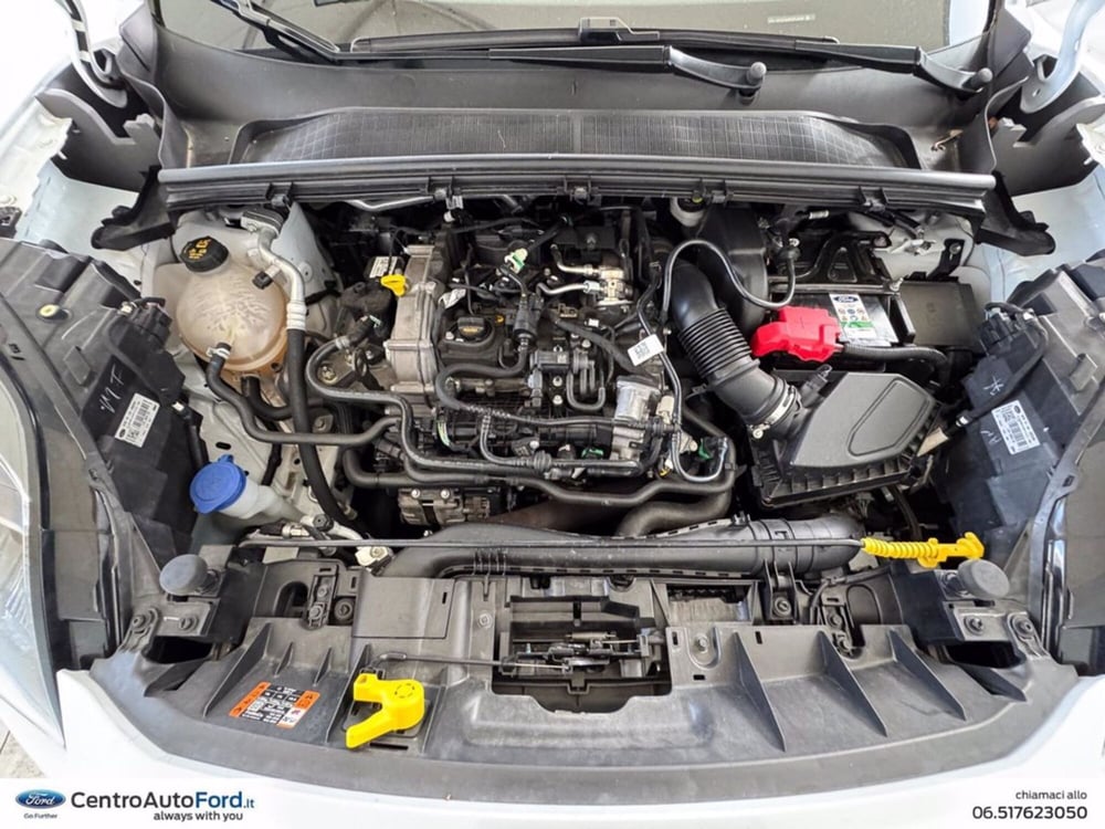 Ford Puma usata a Roma (12)