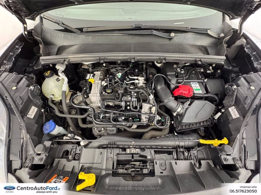 Ford Puma usata a Roma (12)