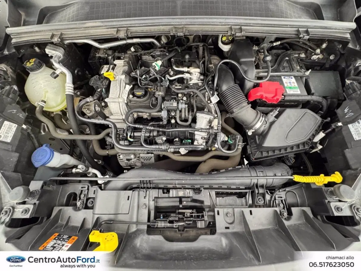 Ford Puma usata a Roma (12)