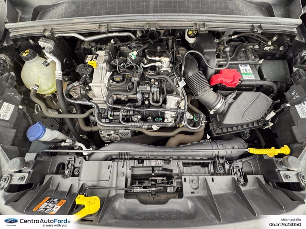 Ford Puma usata a Roma (12)