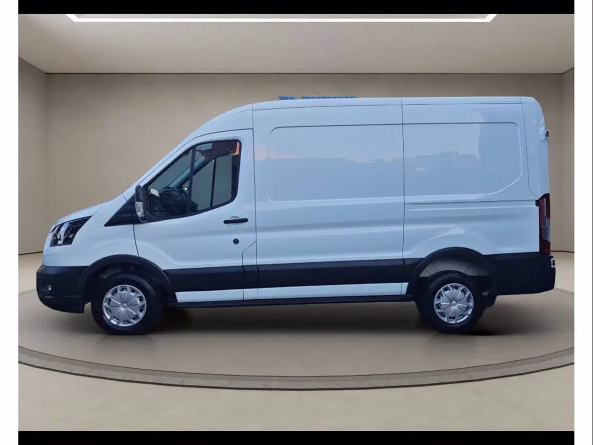 Ford Transit Furgone usata a Catania (3)
