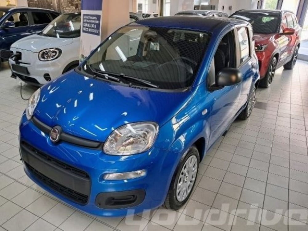 Fiat Panda usata a Napoli (2)