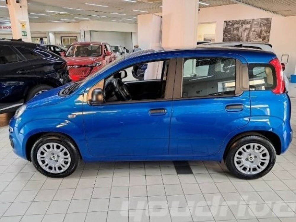 Fiat Panda usata a Napoli (3)
