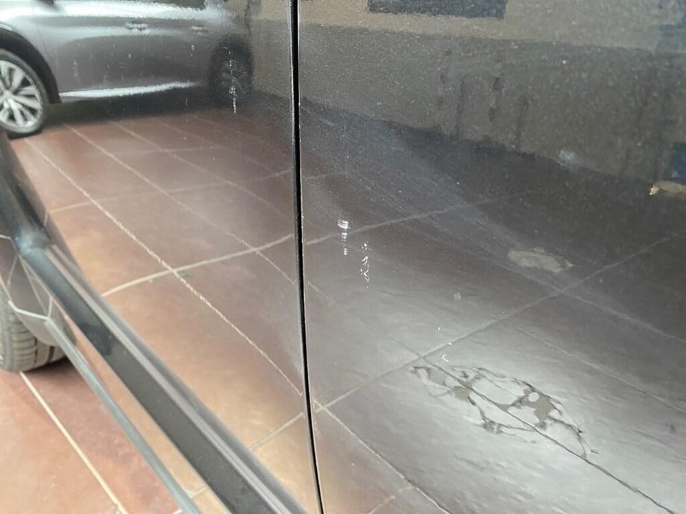 Fiat Freemont usata a Torino (13)
