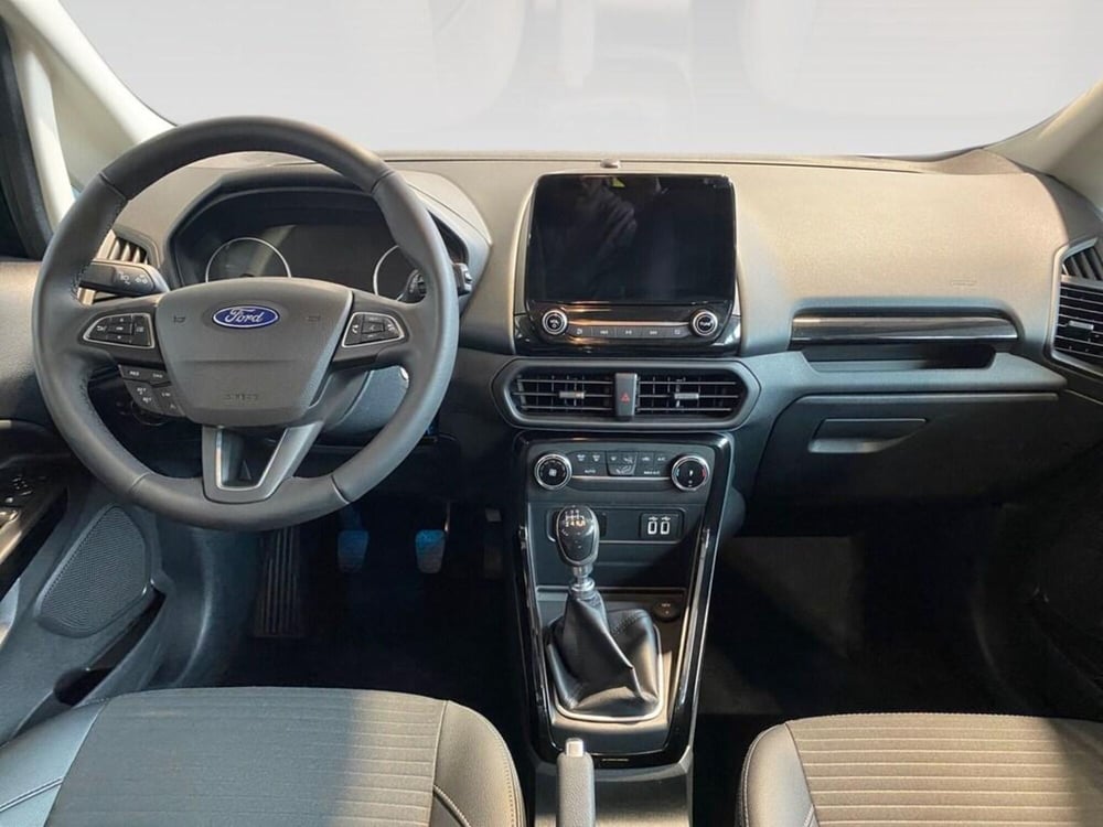 Ford EcoSport usata a Torino (6)