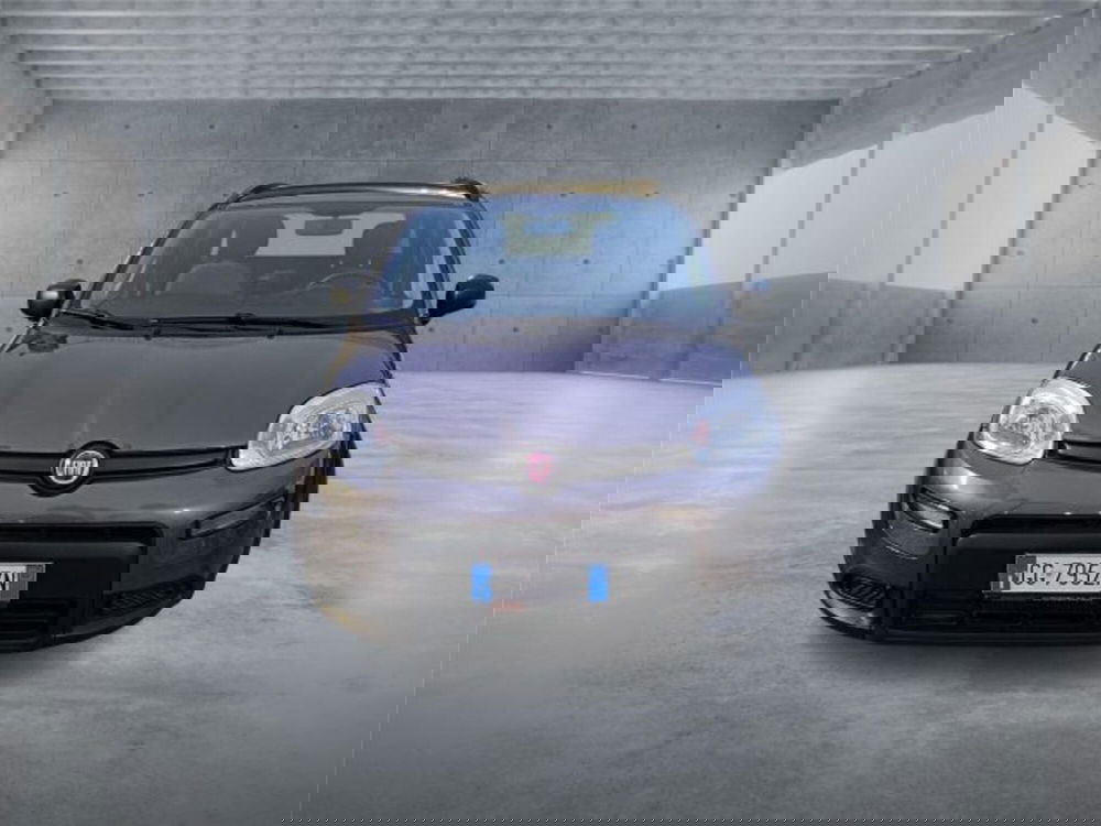 Fiat Panda usata a Bari (2)