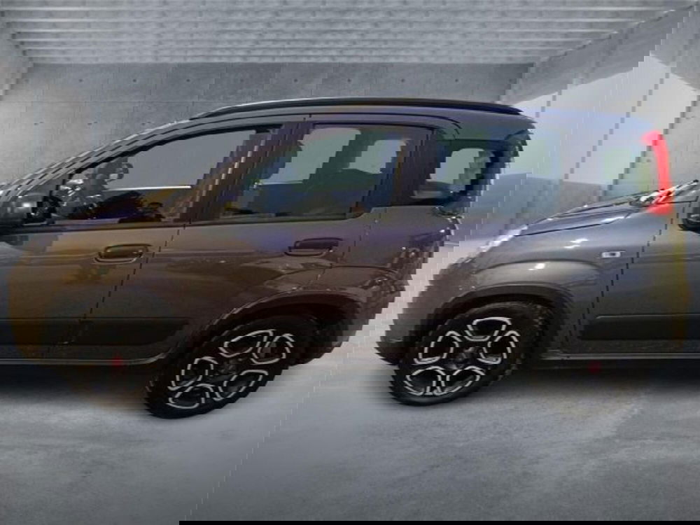 Fiat Panda usata a Bari (7)