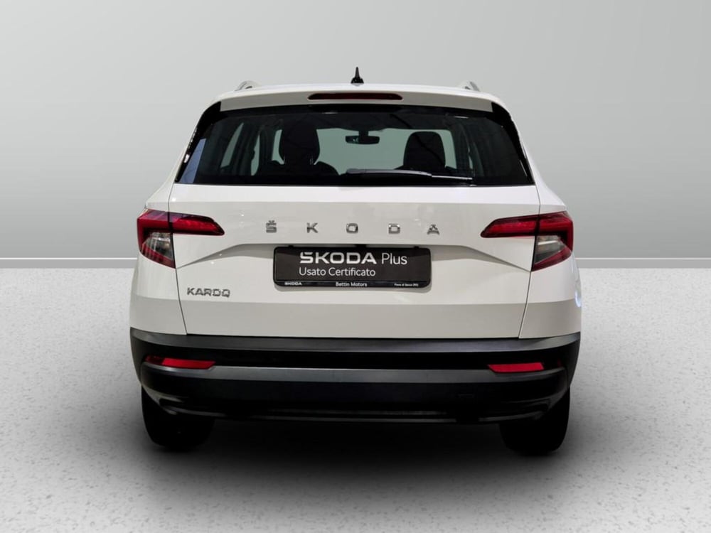 Skoda Karoq usata a Padova (8)