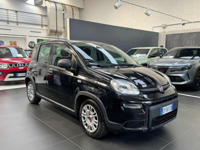 Fiat Panda 1.0 firefly hybrid s&amp;s 70cv 5p.ti del 2023 usata a Vercelli