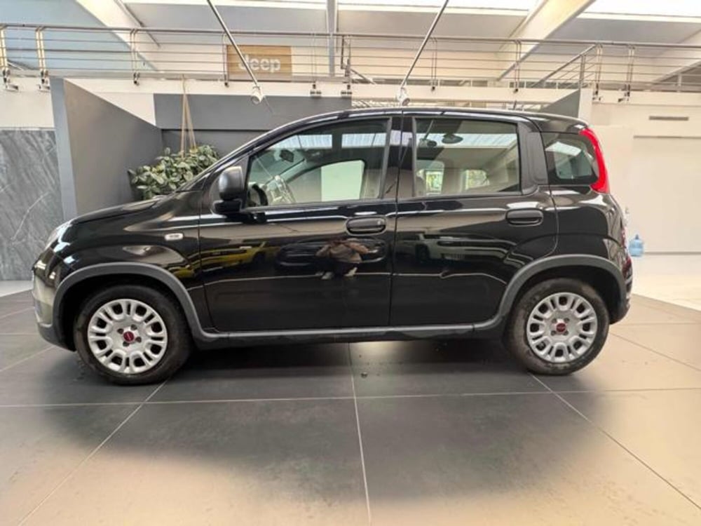 Fiat Panda usata a Vercelli (4)