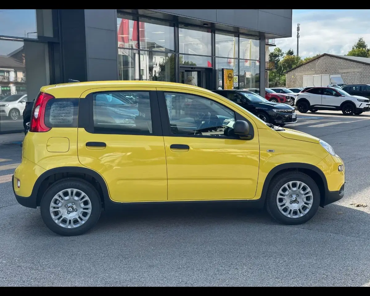 Fiat Panda Cross nuova a Treviso (13)