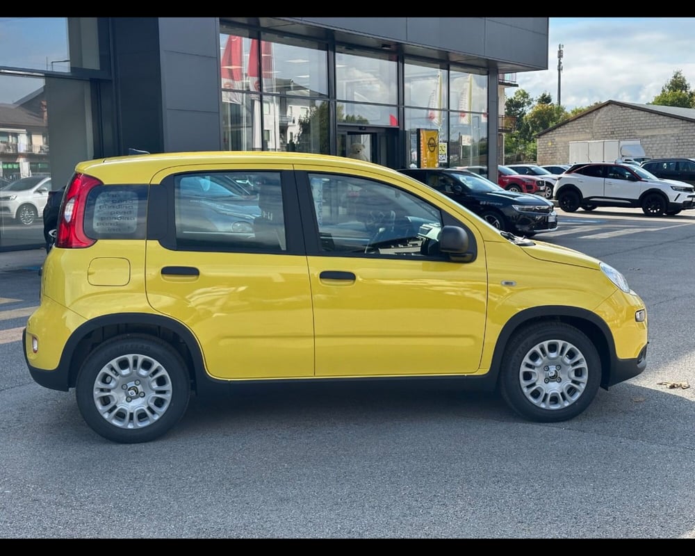 Fiat Panda Cross nuova a Treviso (13)