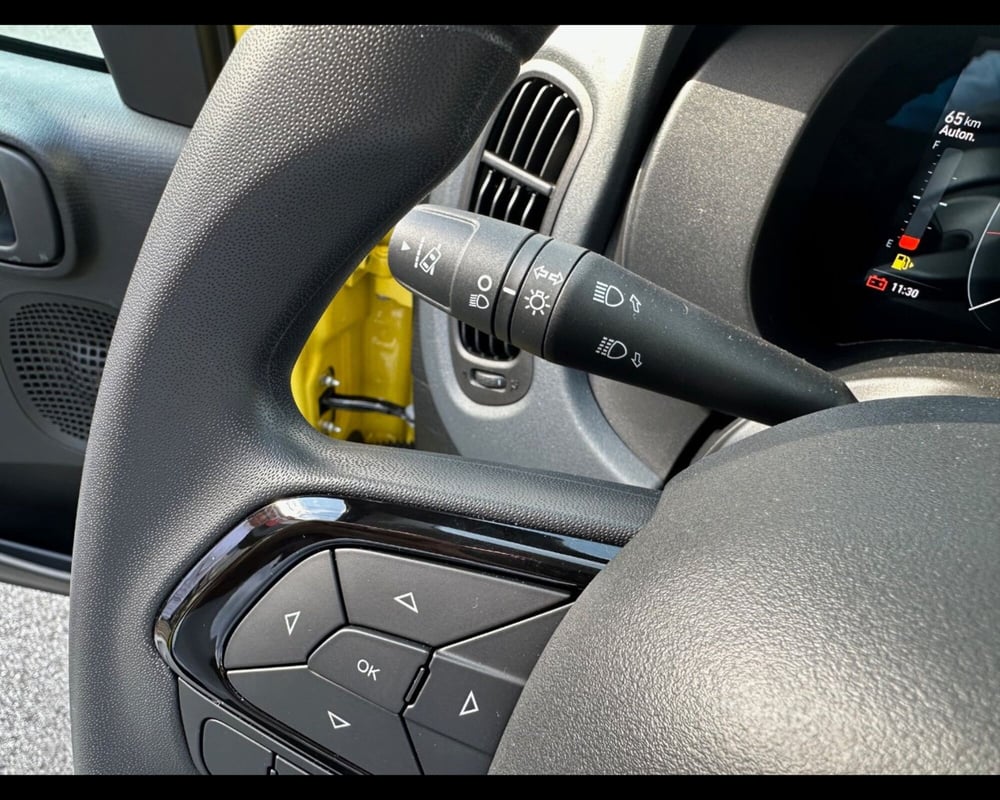 Fiat Panda Cross nuova a Treviso (19)