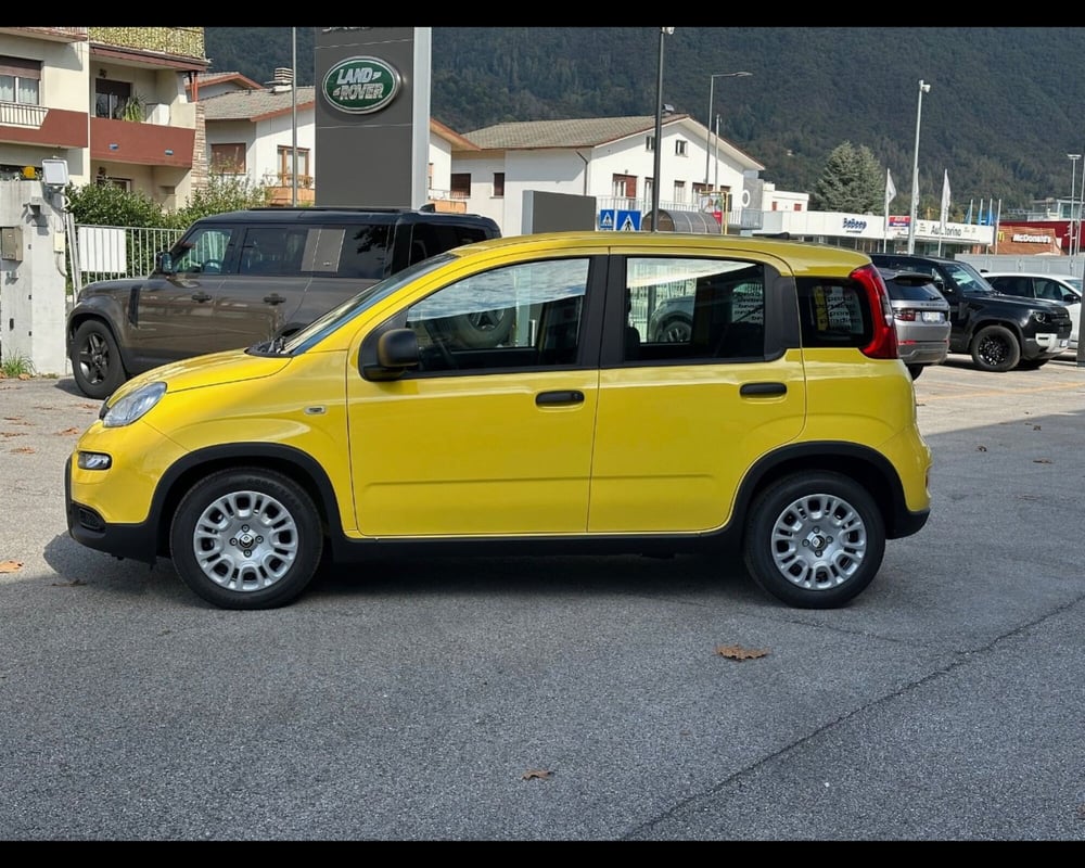 Fiat Panda Cross nuova a Treviso (9)