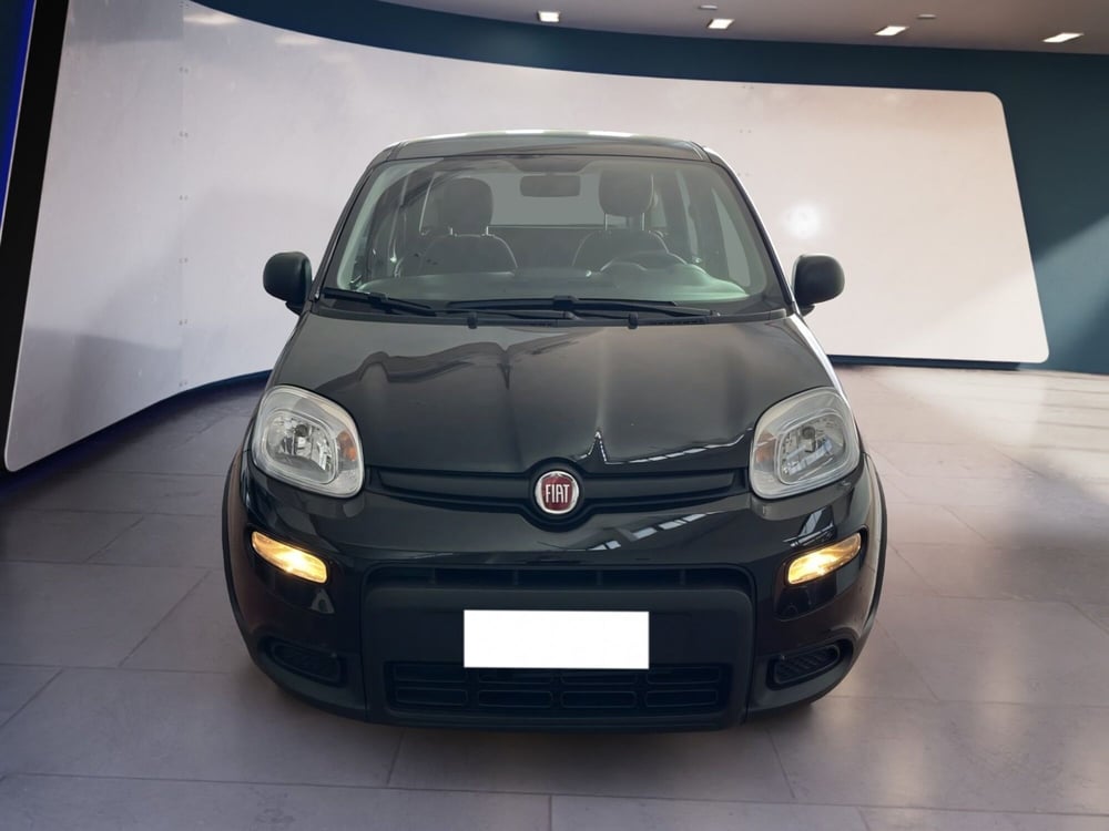 Fiat Panda usata a Torino