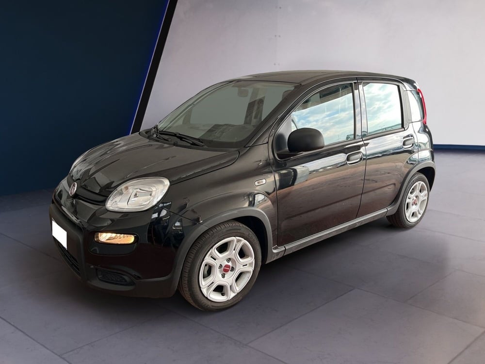 Fiat Panda usata a Torino (2)