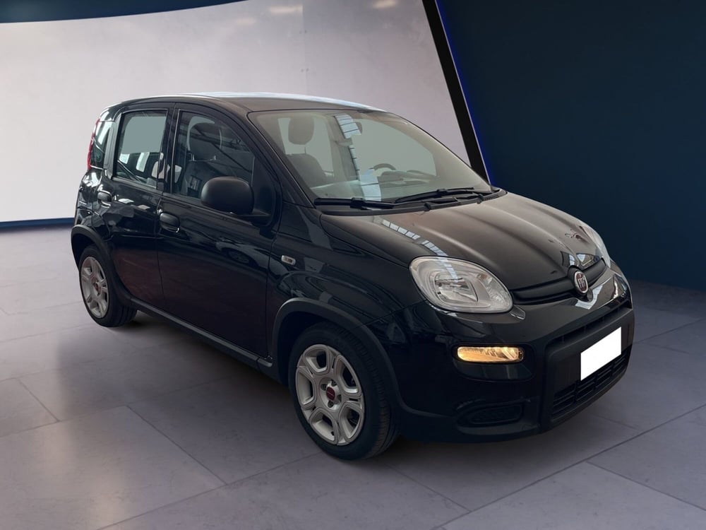Fiat Panda usata a Torino (3)