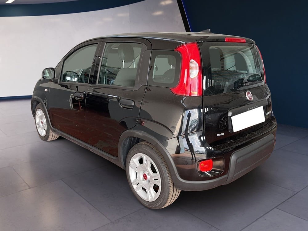 Fiat Panda usata a Torino (6)