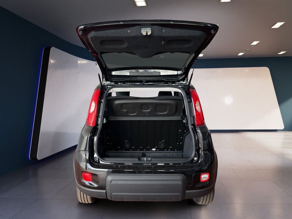 Fiat Panda usata a Torino (7)