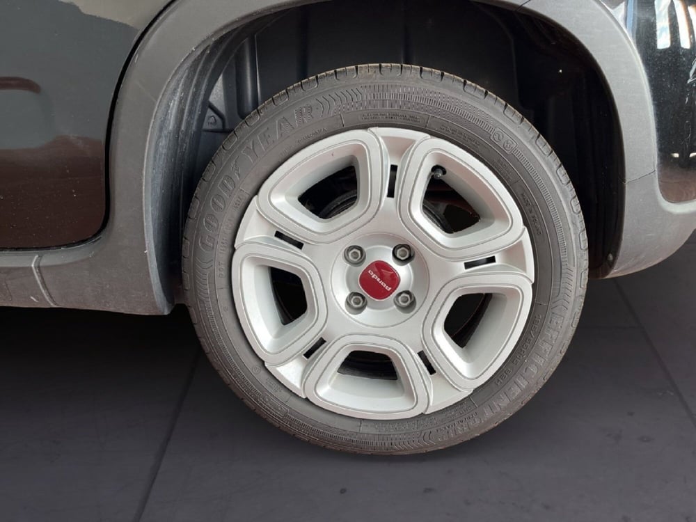 Fiat Panda usata a Torino (8)