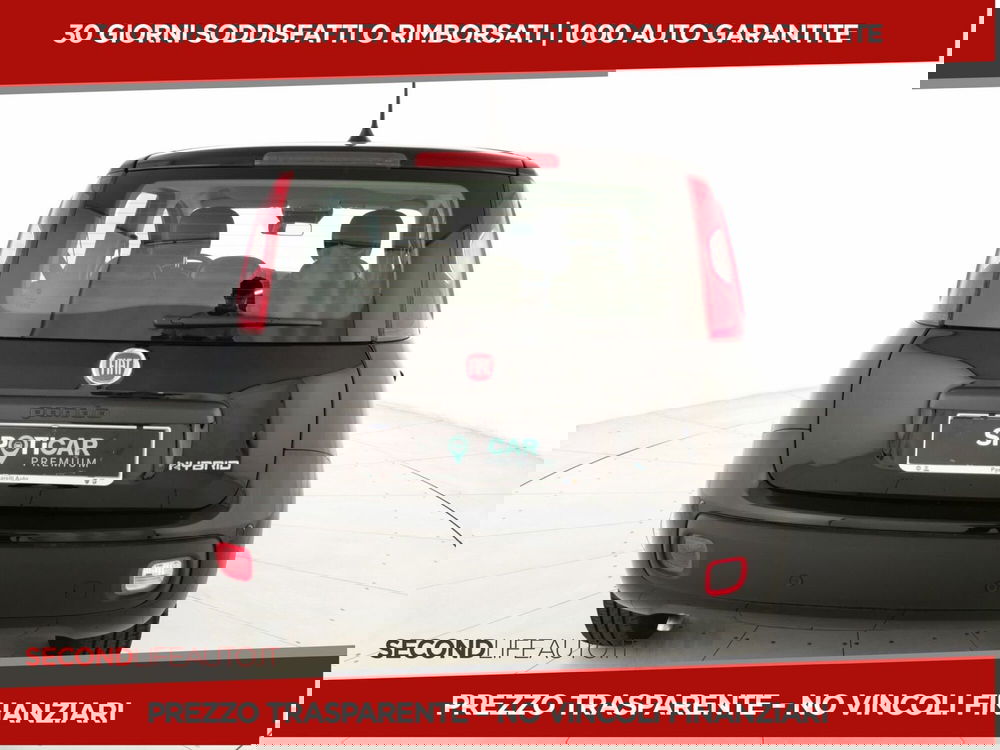 Fiat Panda nuova a Roma (19)