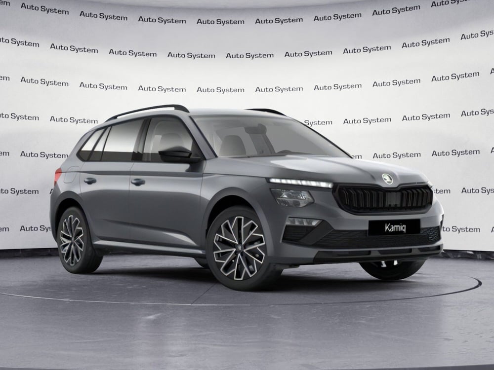 Skoda Kamiq usata a Palermo