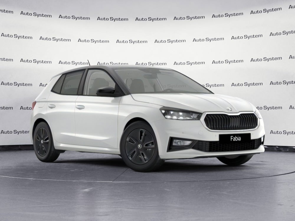 Skoda Fabia usata a Palermo
